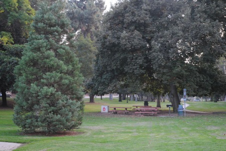 Enlarge photo 19
