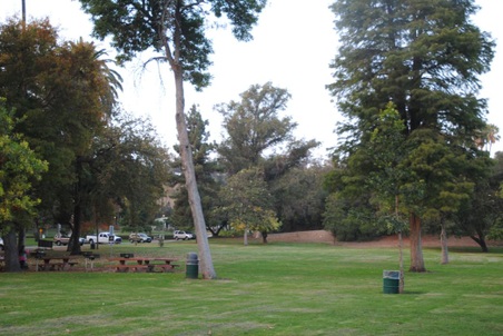 Enlarge photo 20