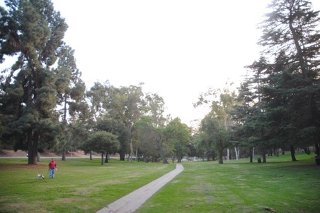Enlarge photo 23
