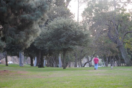 Enlarge photo 24
