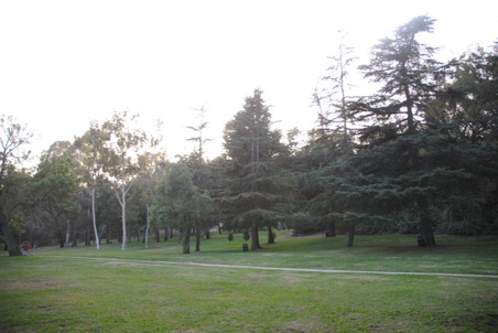 Enlarge photo 25