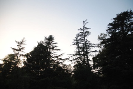Enlarge photo 26