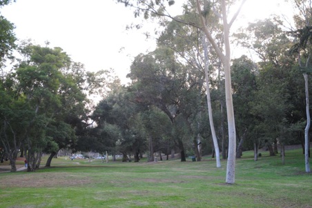 Enlarge photo 27