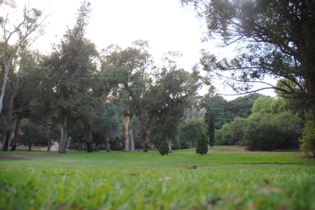 Enlarge photo 28