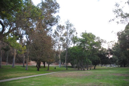 Enlarge photo 29
