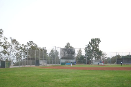 Enlarge photo 49