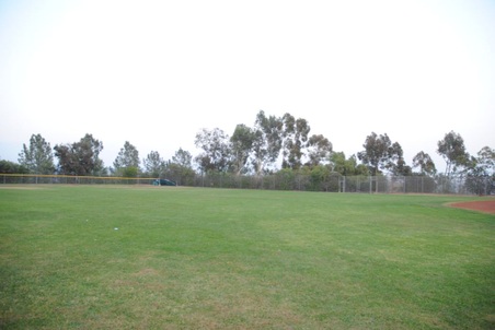 Enlarge photo 53