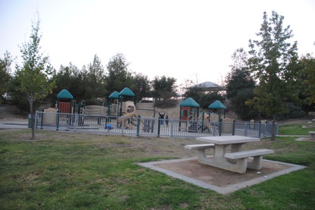 Enlarge photo 54