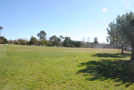 Enlarge photo 68