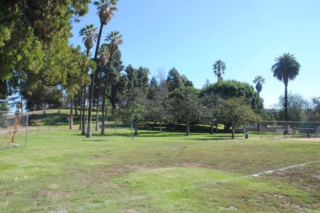 Enlarge photo 23