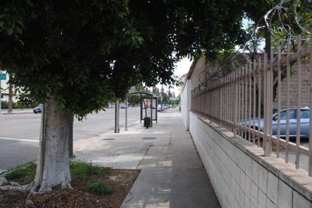 Enlarge photo 10