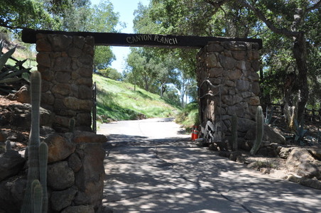 Enlarge photo 4