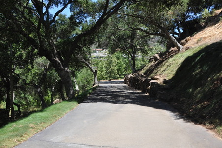 Enlarge photo 11