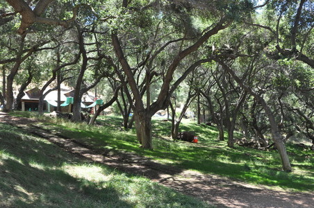 Enlarge photo 15