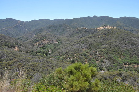 Enlarge photo 20
