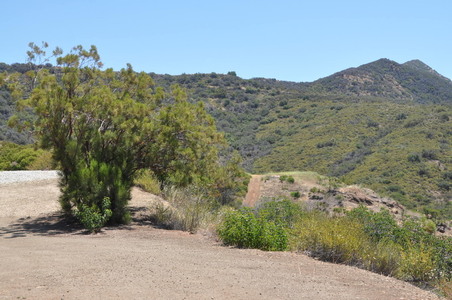Enlarge photo 22
