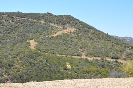Enlarge photo 25