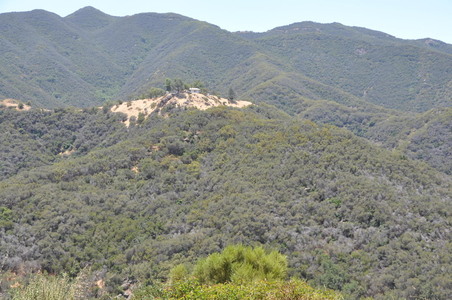 Enlarge photo 27
