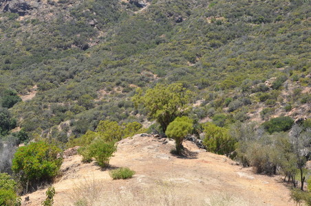 Enlarge photo 31