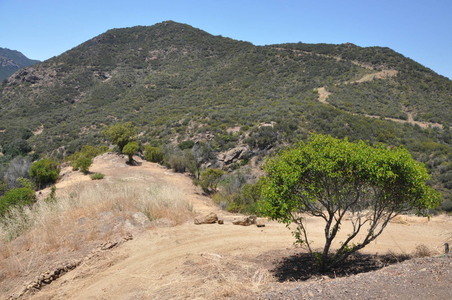 Enlarge photo 32