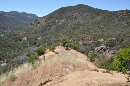 Enlarge photo 33