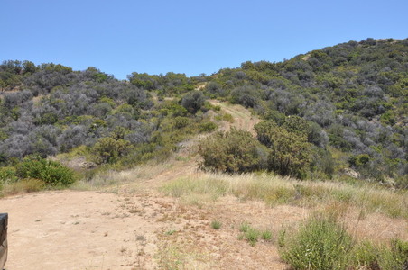 Enlarge photo 37