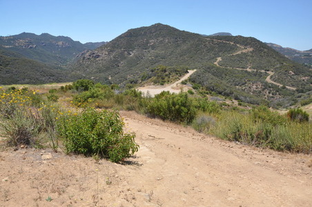 Enlarge photo 39