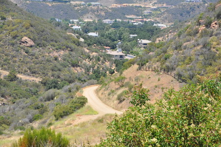 Enlarge photo 41