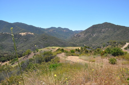 Enlarge photo 43