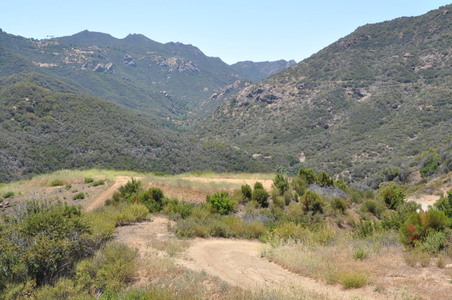 Enlarge photo 44