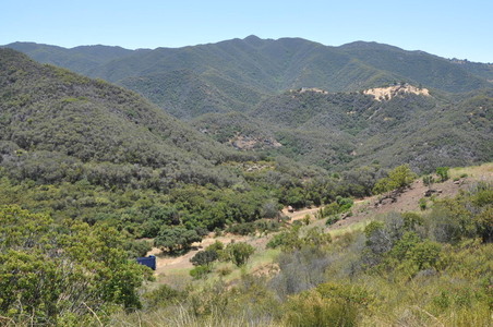 Enlarge photo 45