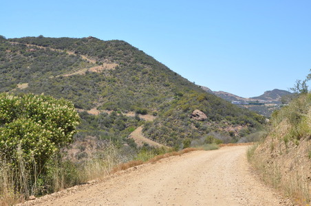 Enlarge photo 46