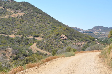 Enlarge photo 47