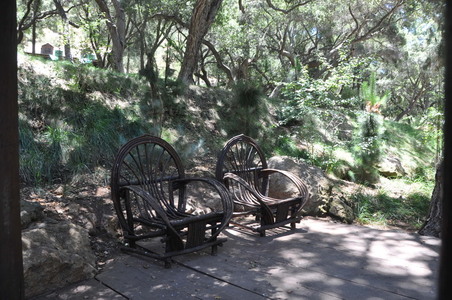 Enlarge photo 53