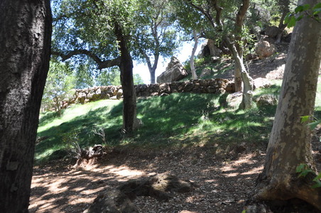 Enlarge photo 57