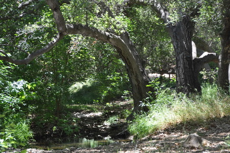 Enlarge photo 58