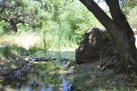 Enlarge photo 60