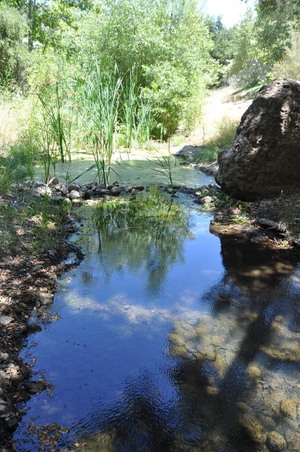 Enlarge photo 104
