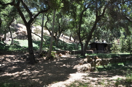Enlarge photo 61