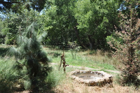 Enlarge photo 65