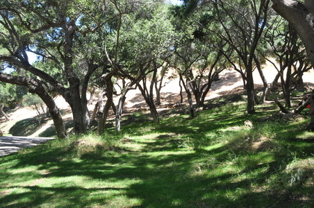 Enlarge photo 68