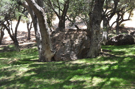 Enlarge photo 72