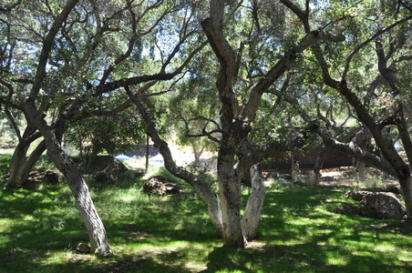 Enlarge photo 73