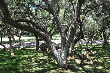 Enlarge photo 77
