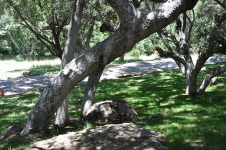 Enlarge photo 82