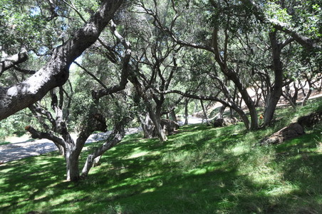 Enlarge photo 83