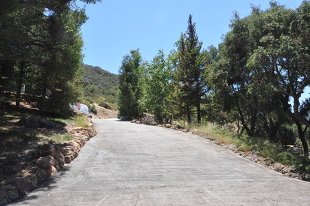 Enlarge photo 85