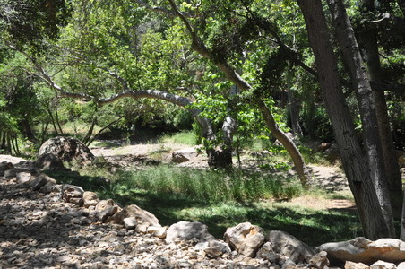 Enlarge photo 87