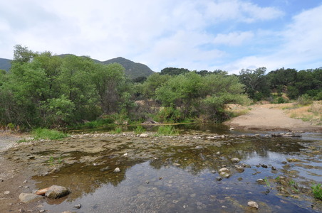 Enlarge photo 9