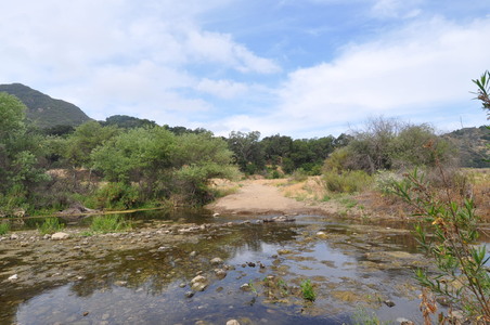 Enlarge photo 10